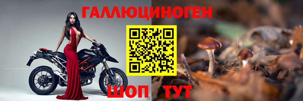 Подольск  Галлюциногенные грибы Cubensis  Вход с VPN 